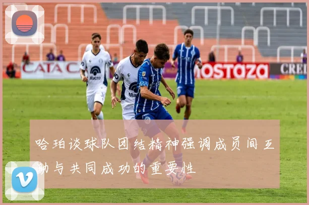 哈珀谈球队团结精神强调成员间互助与共同成功的重要性