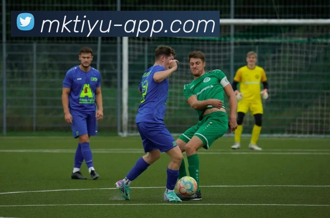 多媒体互动体验