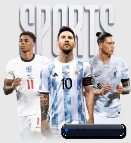 五大服务分区,信息按项目分类 | MKsports