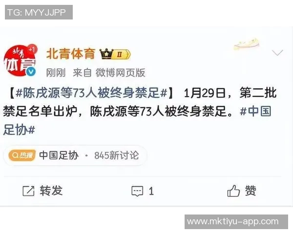 整治足球行业乱象13家俱乐部受罚陈戌源李铁等73人终身禁足